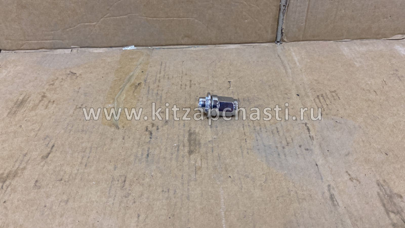 Гайка колеса Chery Tiggo, Vortex Tingo T11-3100111